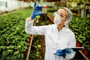 Técnica analisando amostra em horta