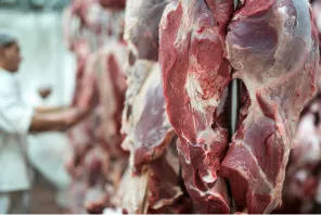 Carnes no frigorífico